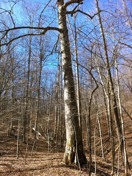 Cross Over Trail - 3